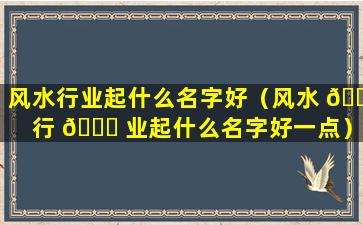 风水行业起什么名字好（风水 🌵 行 🐅 业起什么名字好一点）